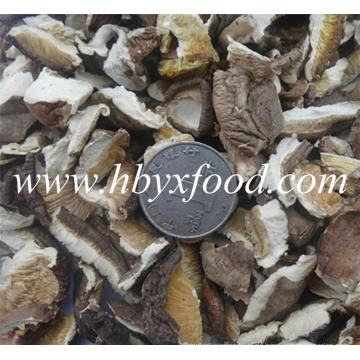 Bulk Getrocknete Pilz Shiitake Scheibe